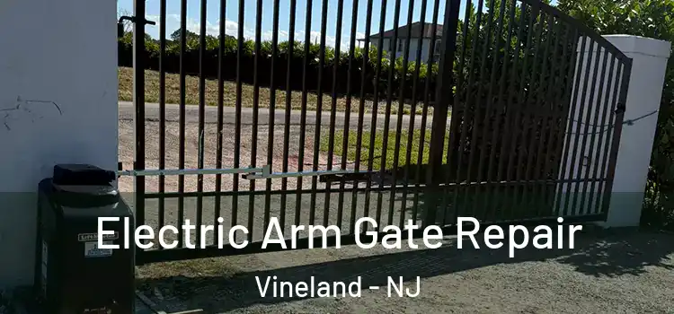  Electric Arm Gate Repair Vineland - NJ