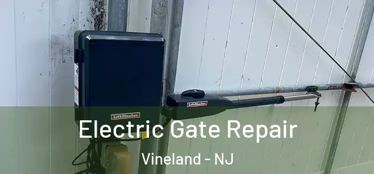  Electric Gate Repair Vineland - NJ