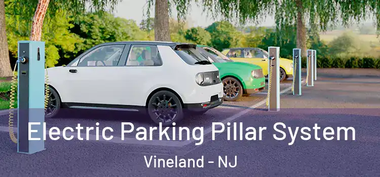 Electric Parking Pillar System Vineland - NJ