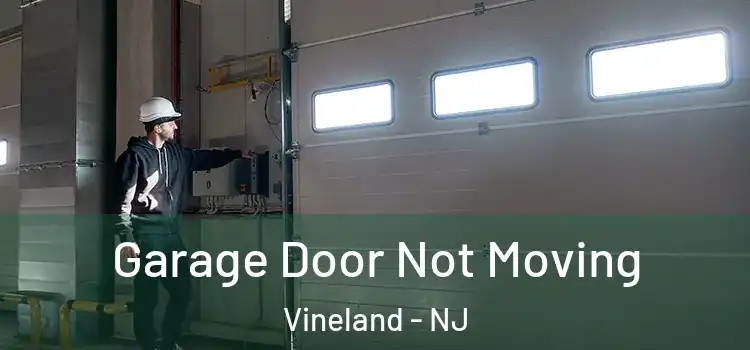  Garage Door Not Moving Vineland - NJ