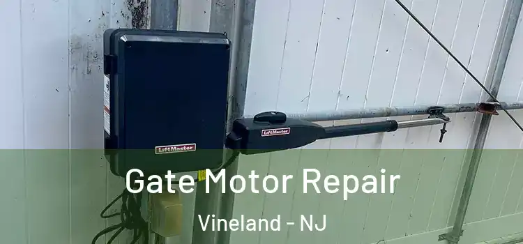  Gate Motor Repair Vineland - NJ