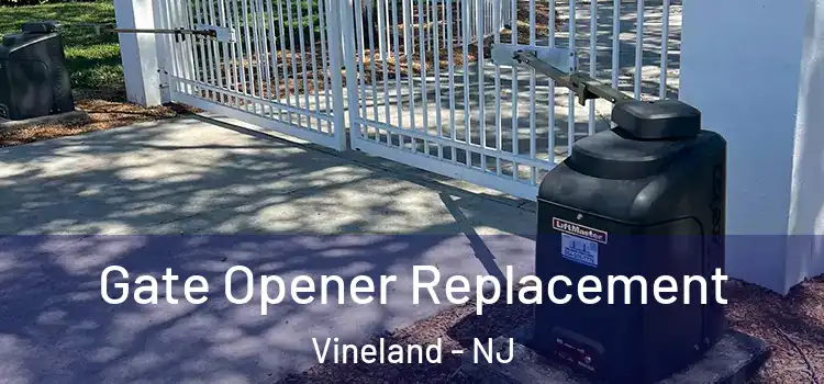Gate Opener Replacement Vineland - NJ