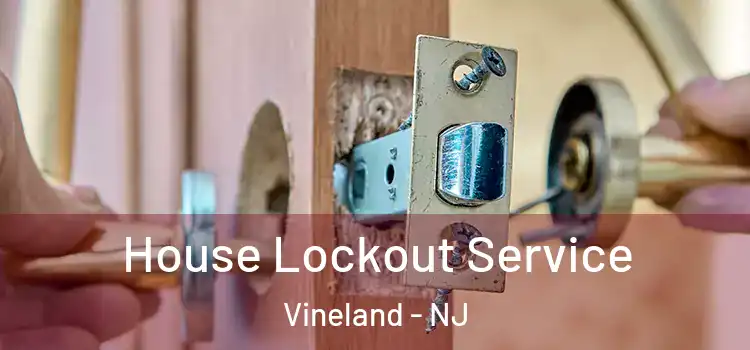  House Lockout Service Vineland - NJ