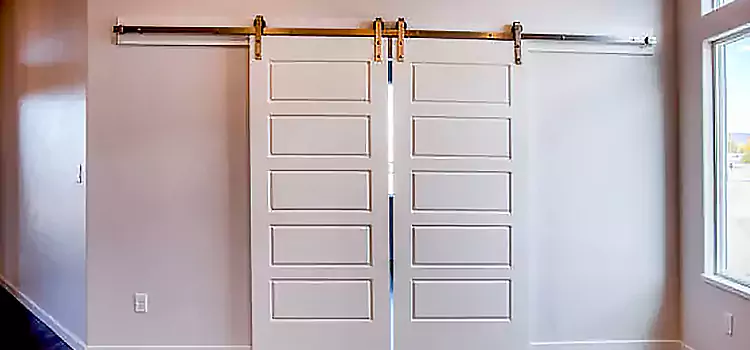 Glass Barn Door with Installation Hardware Kit Vineland