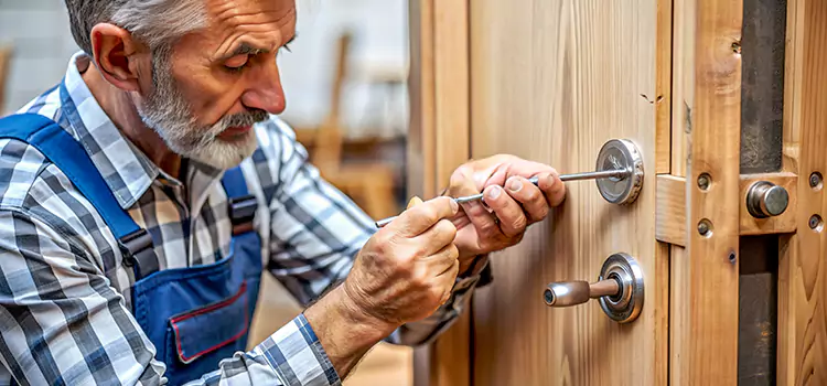 Mortise Replacement Lock Vineland