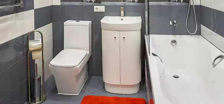 Hansgrohe Shaving Mirror Vineland
