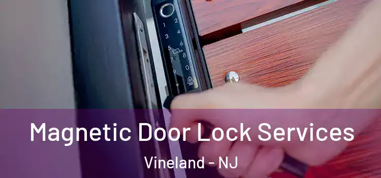 Magnetic Door Lock Services Vineland - NJ