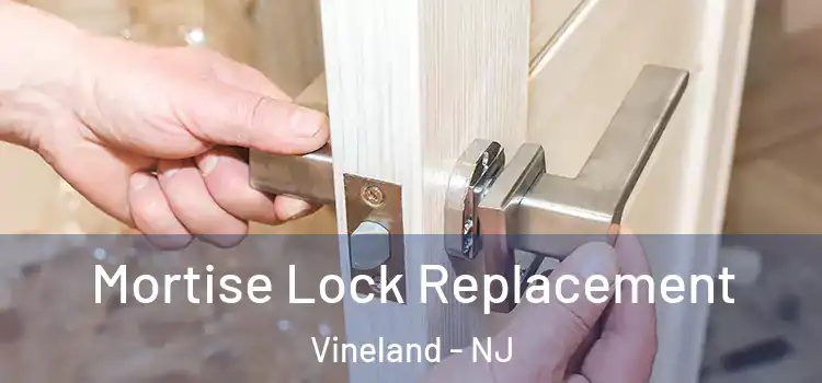 Mortise Lock Replacement Vineland - NJ
