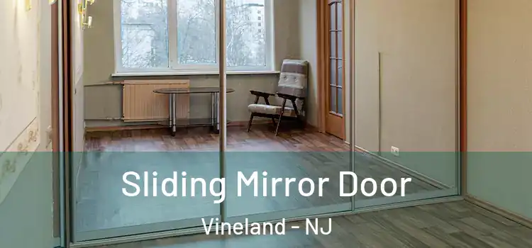  Sliding Mirror Door Vineland - NJ